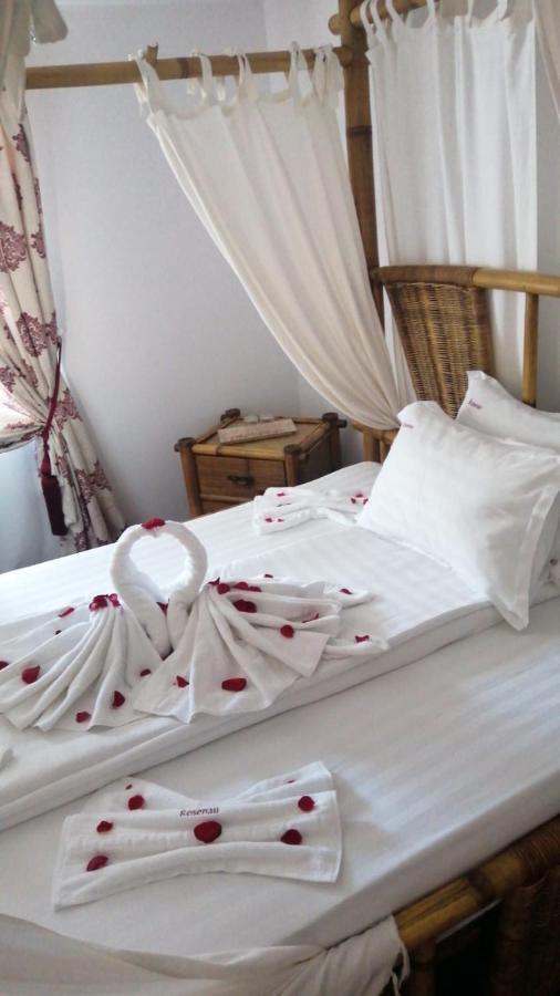 Pensiunea Rosenau Rîşnov Extérieur photo